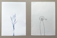http://www.mireillegros.ch/files/gimgs/th-8_2000:23 30x20 christian mathys-web.jpg